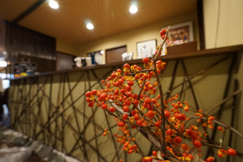 Guest House Ouka Takayama  Ngoại thất bức ảnh